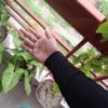 Sun Protection Arm Sleeves