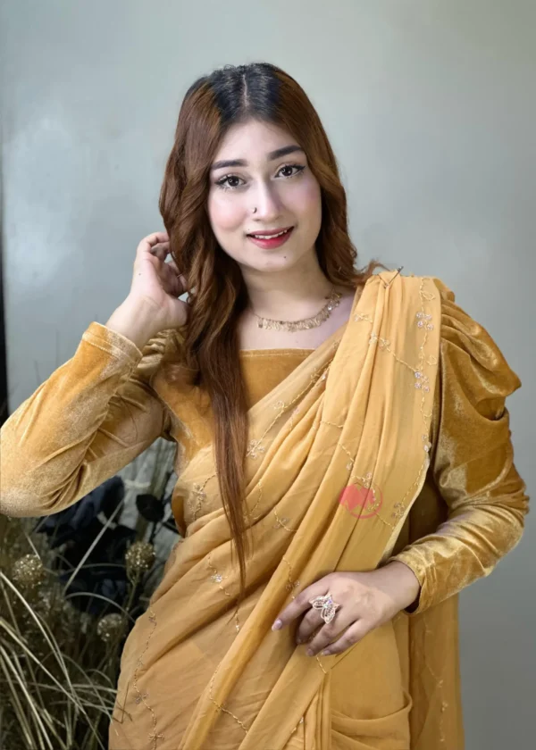 Velvet Full Sleeve Puff Blouse