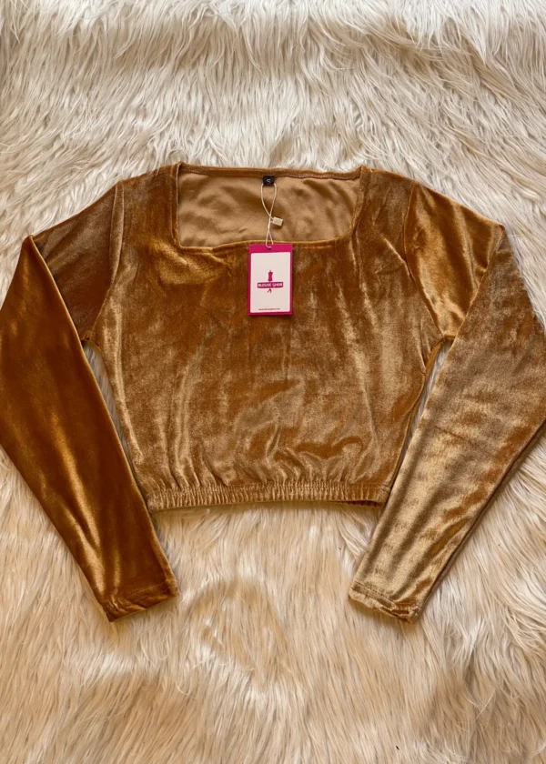 Velvet Full Sleeve Blouse